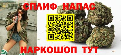Альфа ПВП Будённовск