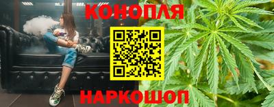 Альфа ПВП Будённовск