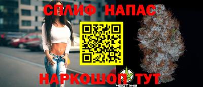 Альфа ПВП Будённовск